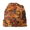 Берец осенние листва швабры вязаная шляпа Осенние листья Октябрь Форест Браун