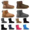 Designer Boots Australia Slippers Damesplatform Winterlaarsjes Girl Classic Snow Boot Boot Korte Bow Mini Fur Black Chestnut Roze Bowtie Schoenen Maat 36-41