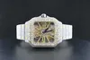 RRHA usine personnalisé Pass diamant Tt glacé luxe Vvs Moissanite diamant montre femmes Hip Hop diamant montre