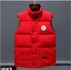 designers ny västpuffer mens väst designer västar jacka maistcoat fjäder material lös kappa grafit grå svart vit blå trend par goose coat gilet