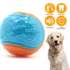 Zabawki dla psów żuje biterezantową zabawkę gumową kulę gumową elastyczną, aby zapobiec zniszczeniu rzeczy treningowych 230818