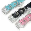 Colarinhos de cachorro colares pequenos cristais de bling diamantes clogodile cintury cintury cão de cachorro colarinho embutido fivela de fivela de fivela ajustável dhtcm