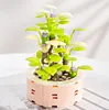 NIEUWE Bonsai Bouwstenen Stad Creatief Broek Bloem Bouwpakket Blok Bouwstenen Constructie Moc Bloemen DIY Wed Build Bloemboeket Bouwblok Cadeau