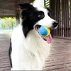 Hundespielzeug kaut bitteresistentes Haustierspielzeuggummi -Gummi -Gummi