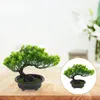 Decorative Flowers Simulation Welcome Pine Imitation Bonsai Ornament Faux Plastic Tree Decor Emulated