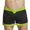 Herren Shorts Casual Arts Summer Sty