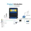 Banks Automatisk ATS Dual Power Transfer Switch Solar Charge Controller för solvindsystem DC 12V 24V 48V AC 110V 220V ON/OFF -rutnät