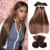 Highlight Bundles Malaysian Straight Human Hair Bundles Ombre Brown Straight Hair Bundles 3 Bundles Remy Human Hair Extensions