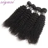 Indiska kinky lockiga hårbuntar 1/3/4 datorer Human Curly Hair Bundes Natural Color 100% Human Hair Weave Bunds Curly Hair Bundles