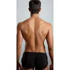 Caleçon confortable Sexy hommes sous-vêtements Boxer Shorts glace soie salon troncs maison vêtements de nuit Gay Pantie