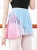 Stage Wear Dance Skirt Women's Modern Ballet Dress Practice Tutu Adult Costume Mesh Dancing Gymnastics Half