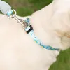 Collari per cani Lava del guinzaglio con riflettente resistente all'usura della maniglia imbottita ultra-soft per cani di grande mezzo di grandi dimensioni