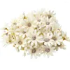Dekorativa blommor 100 st/påse Lätt att underhålla konstgjorda blommhuvud Fadeless Tyg Vacker Garland Fake Wedding Decor
