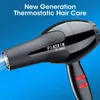 Ds Dryers Professional Salon Anion Hot Cold Wind Blow Hairdryer for Home Travel Hair Style Tool Pet Dryer