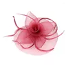 Haarclips Bankett Schleierstifte Kopfschmuck Hochzeitsfeier Bridal Tiara Frauen Faszinatoren Clip Ladies Head Band Accessoires