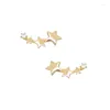 Boucles d'oreilles Neixiu 925 Sterling Silver 2023 Simple Gradient Star Femmes Exquis Doux Fête De Mariage Bijoux Cadeau En Gros