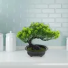 Decorative Flowers Simulation Welcome Pine Imitation Bonsai Ornament Faux Plastic Tree Decor Emulated