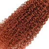 Wefts Kinky Curly Human Hair Bundles 350 오렌지 생강 색깔의 인간 머리 직조 묶음 브라질 레미 헤어 확장 1/3/4 번들