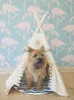Other Pet Supplies Pet House Cute dog tent outside tent House Kennels Washable Tent Puppy Cat Indoor Outdoor Portable Teepee Mat Pet Supplies Decor HKD230821