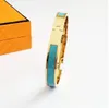 Designer-Armbänder für Damen, Luxus-Schmuck, Damenarmband aus Titanstahl, verblasst nicht, antiallergisch, 12 mm breit, steinfreier Schmuck, modischer Charm-Kreis, 17-Gold-Farbe