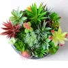 Dekorative Blumen simuliert erfolgreiche pflanzliche grüne kaktus miniment kombination