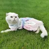 Costumi di gatto Bellissimo abito da principessa per cani estivi con vestiti da ricamo a nastro Antique cucciolo sottile gonna per animali domestici Hanfu
