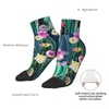 Meias masculinas poliéster Low Tubo Blooming Cactus cactos suculentas abstrato respirável casual meias curtas