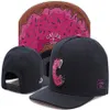Snapbacks Ball Hats Fashion Street Headwear adjustable size Cayler & Sons custom football baseball caps drop ship top quality a442405