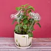 Watering Equipments 1pc Self Glass Bird Water Feeder Flowers Plant Decorative Device Garden Houseplant