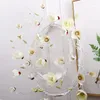 Dekorativa blommor 3M Simulering Silk Magnolia Artificial Wood Orchid Circle Family Wedding Living Room Decoration Flower Bakgrund Rattan