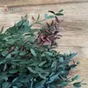 Dried Flowers 80g Natural Eucalyptus Leaves Bouquet Fragrance Living Room Decor Dry Flower Garden Office Decoration 230818