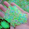 Tuindecoraties 100030005000 pcs Decoratie Pebbles Luminous Stone Glow in Dark Decorative Outdoor Fish Tank Aquarium 230818