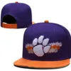 Good Fashion Florida Gators Ball Caps NCAA Баскетбол Snapback Baseball All Team Football Hats Женские мужские плоские хип -хоп Cap2782