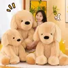 Bambole peluche Sam Golden Retriever Dog plushlies grandi bambole per peluche per peluche regali di Natale per bambini 230821