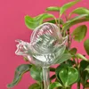 Watering Equipments 1pc Self Glass Bird Water Feeder Flowers Plant Decorative Device Garden Houseplant