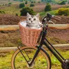 Dog Carrier Bike Basket Rear Woven Front Handlebar Storage Wicker With Drawstring Liner Detachable For Bicycle