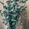 Getrocknete Blüten 80g natürliche Eukalyptusblätter Bouquet Duft Wohnzimmer Dekor Trockene Blumengarten Bürodekoration 230818