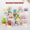 Blocs Mini Brique Succulente Fleur En Pot Modèle Petit Ornement DIY Plante Bonsaï Fleur Bloc De Construction Jouet Pour Enfants Fille Cadeau De Vacances R230817