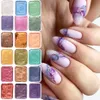 Nagelglitter Nagelkunst Pigment Glitzer Set feste metallische Aquarellfarbe Chrompulververlauf Marmoreffekt Schimmer Maniküre Staub NT1915 230821