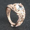 Cluster Rings European och American Pansies Ladies Ring Rose Gold Flower Zircon High-End Atmospheric Jewelry Factory Wholesale