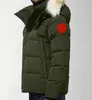 Canada Real Coyote päls utomhus vindbrytare jassen ytterkläder huva fyrrure manteau down jacka coat hiver parka