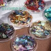 Decorações de arte da unha TCST-050 UNIDADES irregulares Fragmentos de concha de abalone Textura Textura Natural Sea Shell 3d Glitter Unhe