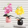Couronnes de fleurs décoratives verdure bonsaï ornements simulation papillon orchidée vase en céramique artificielle décoration de bureau chambre art 230822