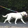 犬の襟のリーシュカラフルな犬のリーシュラウンド綿犬リードロープかわいいレインボーペットロングリーシュベルトアウトドアドッグウォーキングトレーニングリードロープHKD230822