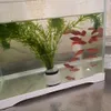 装飾セラミックフラワーポット水槽の重量アクセサリー水族館植栽バスケットリング陶器リング230821