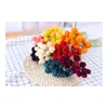 Couronnes de fleurs décoratives Fleurs séchées naturelles Bouquet de fruits aux fraises véritables pour bricolage Décoration nordique de maison de campagne Accessoires de décoration de fête de mariage 230822