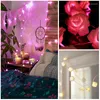 الأوتار LED روز صغيرة الفانوس وميض الأضواء الأضواء غرفة نوم الديكور غرفة عيد الميلاد غرفة الزفاف رومانسية الضوء