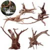 Dekorative Objekte Figuren 1PC natürlicher Driftwood Tree Tree Micro Landschaft Reptilienzylinder Fischtank Ornament Aquarium Dekoration Kuckuckswurzeln 230821