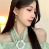 Ryggar örhängen kinesisk stil vintage långt tofs -klipp för kvinnor ingen piercing 2023 trendig harts rosa grön sten på