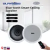 Haut-parleurs portables 6 pouces Plafond anti-poussière Bluetooth compatible Home Surround Sound Haut-parleurs Haut-parleur actif monté au plafond Intérieur 230821